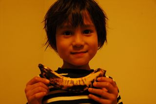 DSC_1702 DSC_1702