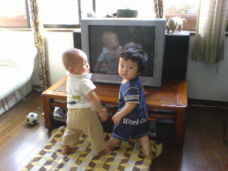 赤ちゃんズとテレビ